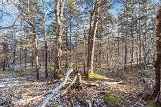 Photo 19: Lot 4 Hampton Mountain Road in Hampton: Annapolis County Vacant Land for sale (Annapolis Valley)  : MLS®# 202403791