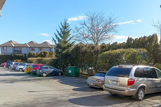 Photo 28: 207 7865 Patterson Rd in Central Saanich: CS Saanichton Condo for sale : MLS®# 895241