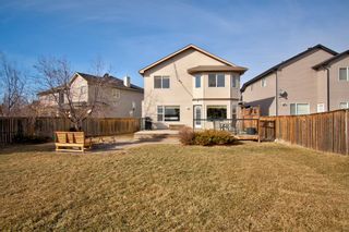 Photo 41: 83 Evansmeade Common NW in Calgary: Evanston Detached for sale : MLS®# A1180775