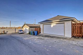 Photo 43: 7 Bridlecrest Boulevard SW in Calgary: Bridlewood Detached for sale : MLS®# A2083766
