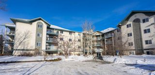 Photo 1: 205 21 Dover Point SE in Calgary: Dover Apartment for sale : MLS®# A2129149