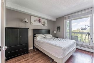 Photo 15: 460 310 8 Street SW in Calgary: Eau Claire Apartment for sale : MLS®# A1022448