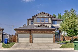 Photo 36: 204 Hawkmere Way: Chestermere Detached for sale : MLS®# A2053906