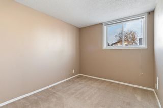 Photo 13: 218 Dovercliffe Way SE in Calgary: Dover Detached for sale : MLS®# A2036876