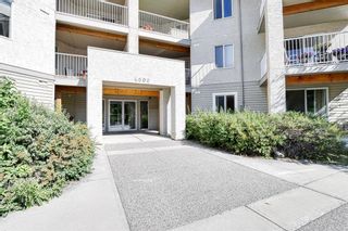 Main Photo: 204 4000 Citadel Meadow Point NW in Calgary: Citadel Apartment for sale : MLS®# A1251082