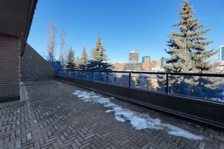 Photo 4: 402 1215 Cameron Avenue SW in Calgary: Lower Mount Royal Apartment for sale : MLS®# A2105989