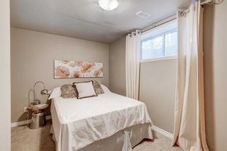 Photo 29: 214 Morningside Gardens SW: Airdrie Detached for sale : MLS®# A2088537