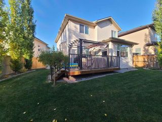 Photo 45: 547 Panora Way NW in Calgary: Panorama Hills Detached for sale : MLS®# A2130519
