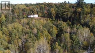 Photo 3: Lot Route 148 in Taymouth: Vacant Land for sale : MLS®# NB085478
