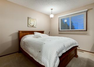 Photo 34: 24 BRACEWOOD Place SW in Calgary: Braeside Detached for sale : MLS®# A1104738
