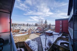 Photo 27: 306 333 Garry Crescent NE in Calgary: Greenview Apartment for sale : MLS®# A2034884