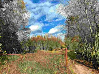 Photo 8: LOT 0 Aalders Avenue in New Minas: Kings County Vacant Land for sale (Annapolis Valley)  : MLS®# 202223092