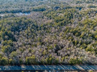 Photo 2: Block R1 Highway 203 in Lower Ohio: 407-Shelburne County Vacant Land for sale (South Shore)  : MLS®# 202302775