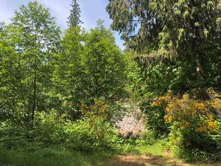 Photo 5: 4495 RONDEVIEW Road in Madeira Park: Pender Harbour Egmont Land for sale (Sunshine Coast)  : MLS®# R2697796