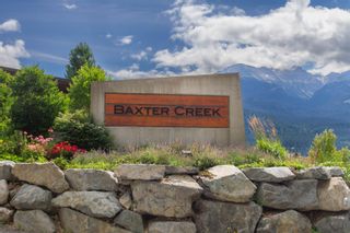 Photo 9: 8570 ASHLEIGH MCIVOR Drive in Whistler: Rainbow Land for sale in "BAXTER CREEK/RAINBOW" : MLS®# R2867242