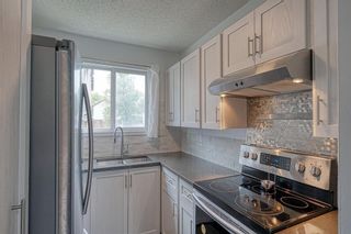 Photo 4: 8 64 Whitnel Court NE in Calgary: Whitehorn Row/Townhouse for sale : MLS®# A1229965