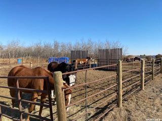 Photo 33: Prairie Lane Equestrian Centre in Vanscoy: Residential for sale (Vanscoy Rm No. 345)  : MLS®# SK941877