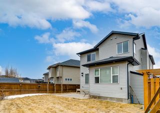 Photo 32: 151 Cranford Green SE in Calgary: Cranston Detached for sale : MLS®# A1088910