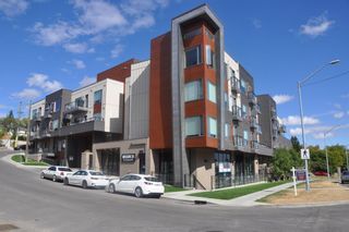 Photo 31: 409 93 34 Avenue SW in Calgary: Parkhill Apartment for sale : MLS®# A2038561