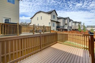Photo 37: 62 Kincora Glen Rise NW in Calgary: Kincora Detached for sale : MLS®# A1227473
