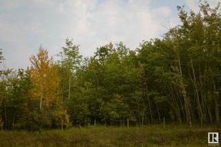 Photo 6: NW 27 60-14 W4: Rural Smoky Lake County Rural Land/Vacant Lot for sale : MLS®# E4311581