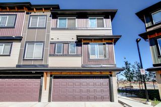 Photo 44: 175 Savanna Street NE in Calgary: Saddle Ridge Row/Townhouse for sale : MLS®# A1250345