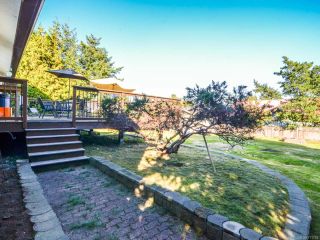 Photo 42: 3974 Dillman Rd in CAMPBELL RIVER: CR Campbell River South House for sale (Campbell River)  : MLS®# 771784