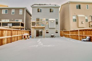 Photo 33: 85 Windford Park SW: Airdrie Detached for sale : MLS®# A2022419