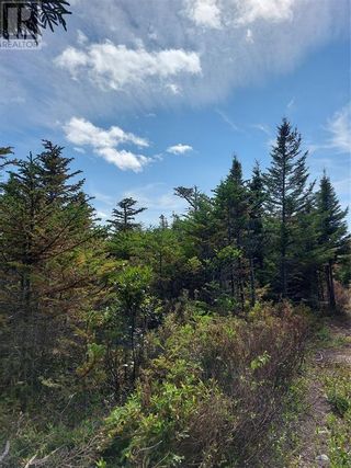 Photo 3: 78-82 and 86-90a Larch Grove Road in Conception Bay South: Vacant Land for sale : MLS®# 1257016