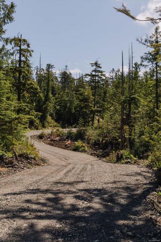 Photo 8: LOT 4 Hawkes Rd in Ucluelet: PA Ucluelet Land for sale (Port Alberni)  : MLS®# 911987