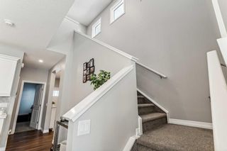Photo 17: 236 Red Sky Terrace NE in Calgary: Redstone Detached for sale : MLS®# A2125780