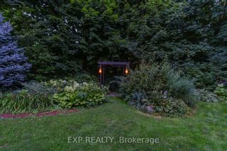 Photo 38: 55 Pine Ridge Drive in Toronto: Cliffcrest House (2-Storey) for sale (Toronto E08)  : MLS®# E7304608