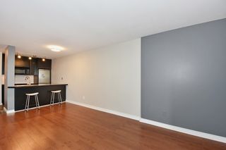 Photo 5: 506 1080 PACIFIC Street in Vancouver: West End VW Condo for sale in "THE CALIFORNIAN" (Vancouver West)  : MLS®# R2107122