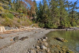 Photo 69: 1966 Gillespie Rd in Sooke: Sk 17 Mile House for sale : MLS®# 923831