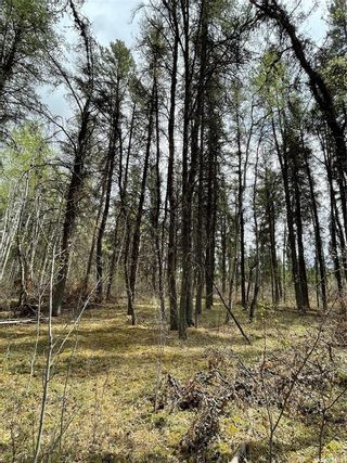 Photo 14: Torch River RM Acreage 5.51 Acres in Torch River: Lot/Land for sale (Torch River Rm No. 488)  : MLS®# SK897923