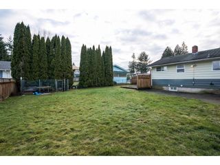 Photo 19: 2052 VINEWOOD Street in Abbotsford: Central Abbotsford House for sale : MLS®# R2129991
