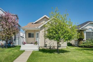 Main Photo: 74 CHAPARRAL RIDGE Way SE in Calgary: Chaparral Detached for sale : MLS®# A1171219