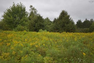 Photo 18: Lot 5 No 12 Highway in Murphy Lake: Kings County Vacant Land for sale (Annapolis Valley)  : MLS®# 202401271