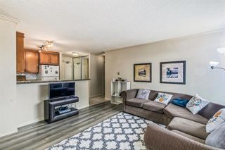 Photo 3: 304 4603 Varsity Drive NW in Calgary: Varsity Apartment for sale : MLS®# A2036013