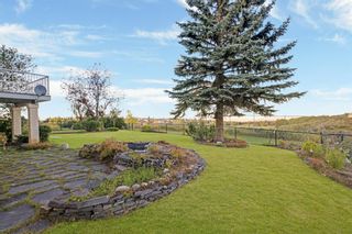Photo 44: 84 Citadel Green NW in Calgary: Citadel Detached for sale : MLS®# A1029060