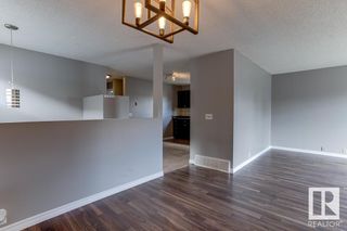 Photo 46: 4134 38 Street in Edmonton: Zone 29 House for sale : MLS®# E4301290