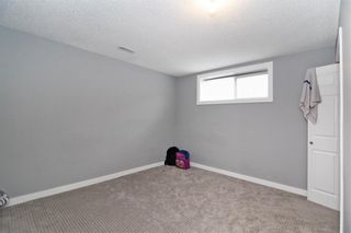 Photo 23: 224 MORNINGSIDE Green SW: Airdrie Detached for sale : MLS®# A2010314