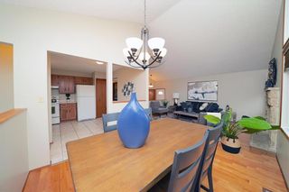 Photo 9: 173 Island Shore Boulevard in Winnipeg: Island Lakes House for sale (2J)  : MLS®# 202118608