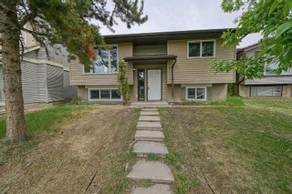 Photo 1: 103 Castlegrove Road NE in Calgary: Castleridge Detached for sale : MLS®# A2053909