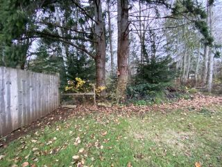 Photo 21: 5557 Horne St in Union Bay: CV Union Bay/Fanny Bay House for sale (Comox Valley)  : MLS®# 855305