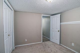 Photo 33: 451 Taracove Estate Drive NE in Calgary: Taradale Detached for sale : MLS®# A2016405