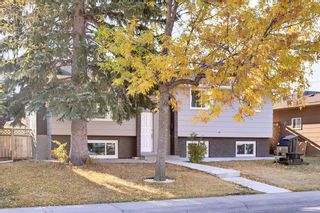 Photo 27: 527 Whitehorn Way NE in Calgary: Whitehorn Detached for sale : MLS®# A2006657