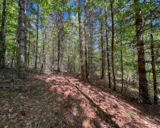 Photo 15: Lot C VICTORIA AVENUE in Kaslo: Vacant Land for sale : MLS®# 2476304