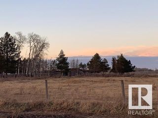 Photo 8: 163074 Twp Rd 560 Acres: Rural Lamont County Vacant Lot/Land for sale : MLS®# E4368001