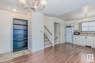 Photo 17: 2018 108B Street in Edmonton: Zone 16 House for sale : MLS®# E4324424